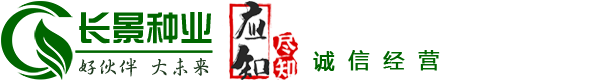 綠化苗木_園林綠化苗木價(jià)格_苗木報(bào)價(jià)-江蘇沭陽(yáng)長(zhǎng)景園林苗木場(chǎng)