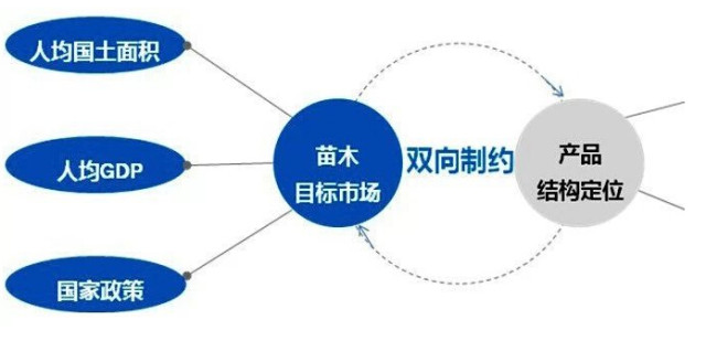 學習國外苗木行業(yè)經驗，搶先了解國內市場動態(tài)